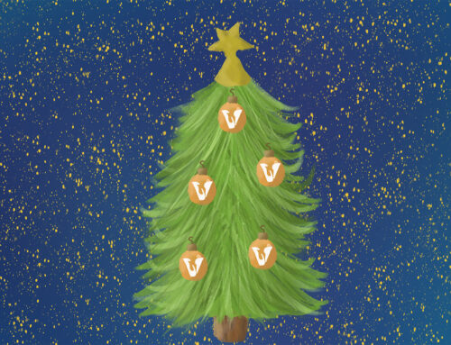 10x originele vegan cadeaus